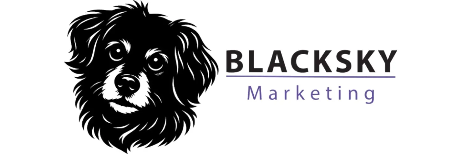 BlackSky Marketing cover photo